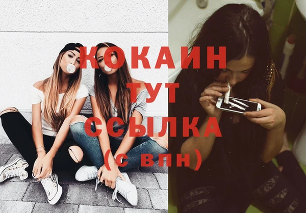 стафф Арсеньев