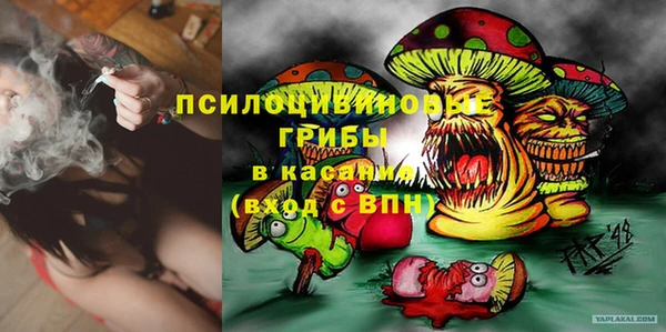 стафф Арсеньев