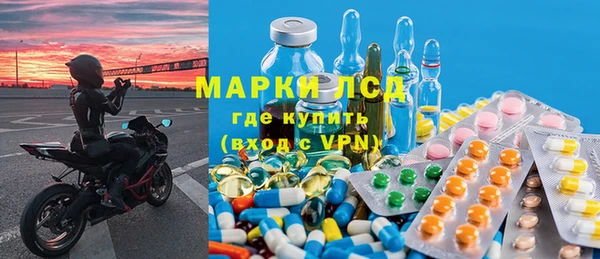 стафф Арсеньев