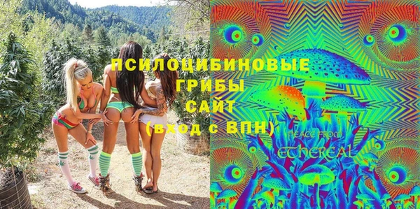 соль ск Аркадак