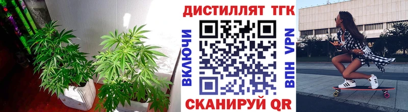 Дистиллят ТГК THC oil  сколько стоит  omg маркетплейс  Бакал 