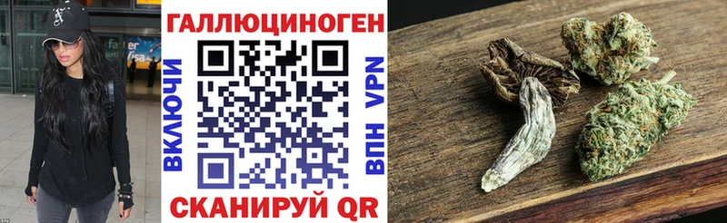 OMG маркетплейс  Бакал  Псилоцибиновые грибы Cubensis 