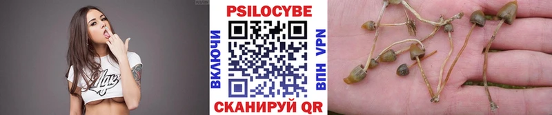 Псилоцибиновые грибы Psilocybine cubensis Бакал